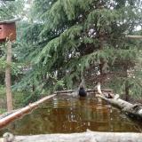 photo 2023-04-01 12-09-17