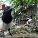 photo 2023-05-23 13-14-36