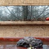 photo 2022-02-01 13-57-27