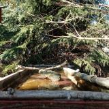 photo 2023-03-13 14-59-45