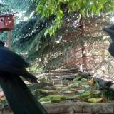 photo 2023-05-25 08-18-25