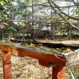 photo 2022-10-22 10-27-58