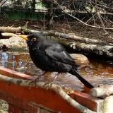 photo 2022-04-06 12-37-05 rigo