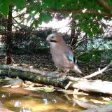 photo 2022-05-12 16-25-26 szajko