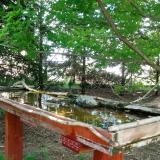 photo 2022-04-29 12-59-38