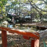 photo 2022-10-17 08-52-27