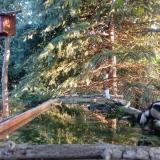 photo 2023-09-29 07-22-55