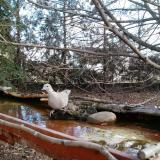 photo 2022-02-17 10-20-47