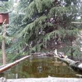 photo 2023-04-03 18-19-42