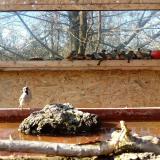 photo 2022-02-08 13-48-52