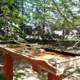 photo 2022-04-12 12-57-43