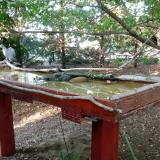 photo 2022-07-21 18-36-56