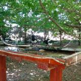 photo 2022-06-03 13-29-38