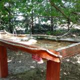 photo 2022-06-29 15-08-53