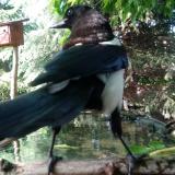 photo 2023-05-21 17-10-48