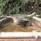 photo 2023-03-13 15-35-52