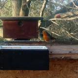 photo 2023-02-06 14-54-53