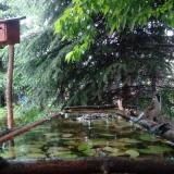 photo 2023-05-14 17-17-26