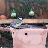 photo 2024-01-23 07-39-12