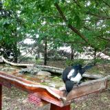 photo 2022-05-23 15-02-30