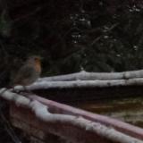 photo 2022-02-17 17-08-48 vorosbegy