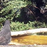 photo 2024-10-17 13-31-44