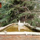 photo 2023-03-20 11-36-38