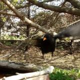 photo 2022-04-06 12-35-35 rigo