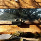 photo 2023-12-04 09-34-49