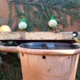 photo 2024-01-02 10-03-21