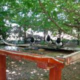 photo 2022-06-03 13-31-00