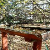 photo 2022-10-19 11-07-56