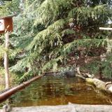 photo 2023-04-01 17-00-00