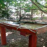 photo 2022-07-14 10-41-23