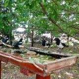 photo 2022-05-23 12-35-58 szarkak