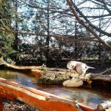 photo 2022-02-24 08-20-53