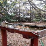 photo 2022-10-22 15-59-58