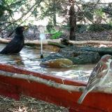 photo 2022-06-26 10-38-50