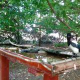 photo 2022-06-01 13-38-13