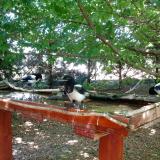 photo 2022-06-03 13-35-38