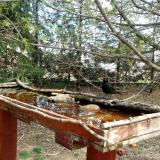 photo 2022-04-06 12-39-21