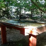 photo 2022-07-12 17-14-46