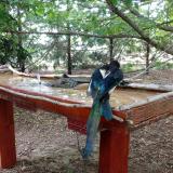 photo 2022-07-05 10-40-46