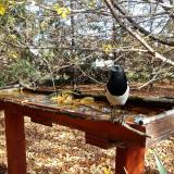 photo 2022-10-23 12-57-33