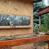 photo 2022-10-27 10-45-50