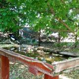 photo 2022-05-12 11-41-17