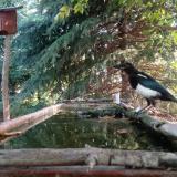 photo 2023-08-23 08-42-49