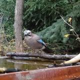 photo 2022-11-26 13-32-20