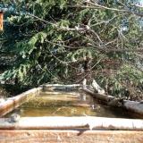 photo 2023-03-18 09-11-24