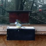 photo 2023-01-30 11-08-03